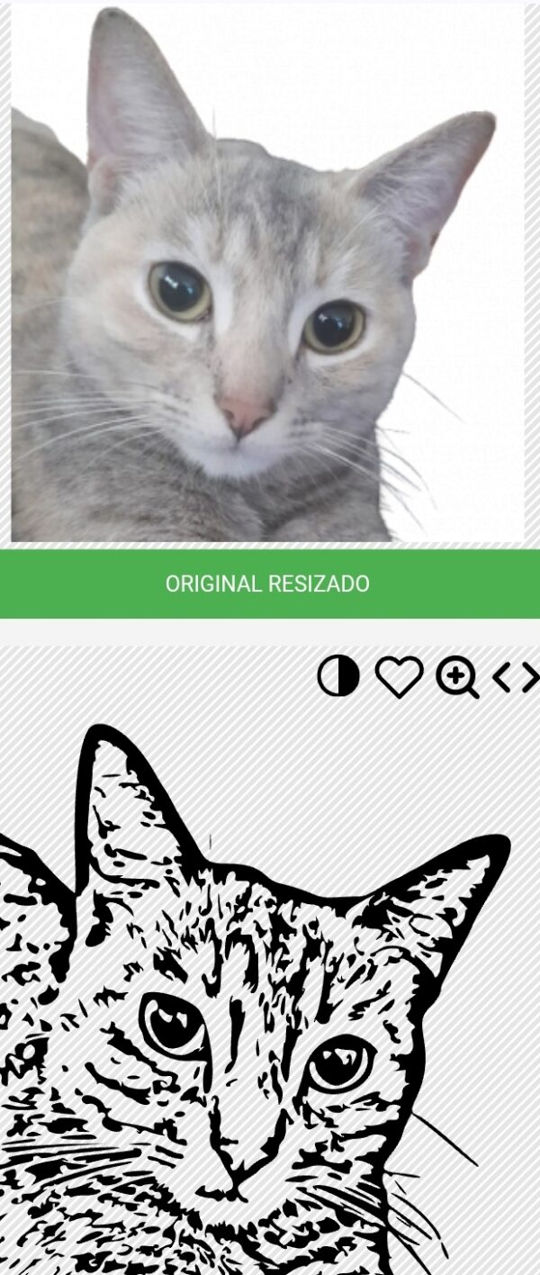 Collar de Acero Inoxidable con Foto Dibujo Personalizado - Imagen 3